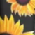 Girasol